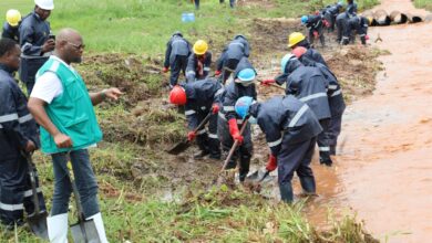 615155244 1199125669001020 7115495541948645551 n