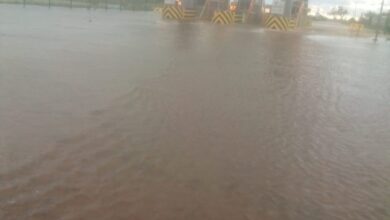 615752596 122290145882217484 4043061246637074217 n