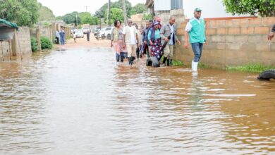 616194828 1204338271813093 2564978426335208441 n