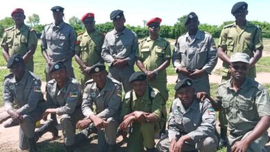 616514363 758583590618306 8673899031808583401 n