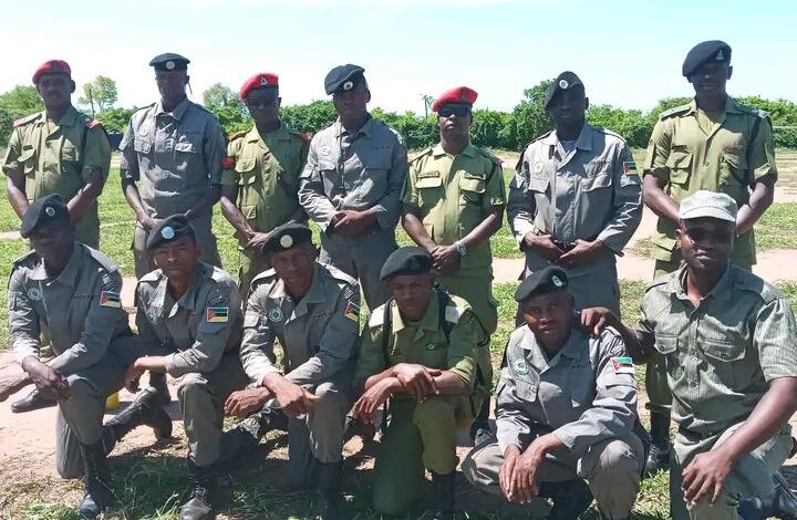 616514363 758583590618306 8673899031808583401 n