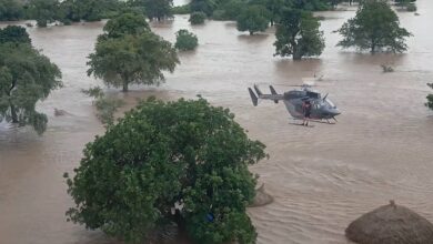 616631082 1387475713408337 8572646041332137611 n (1)