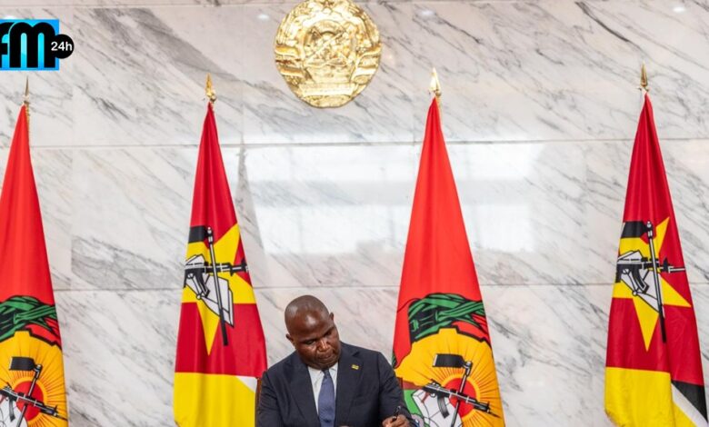 617181766 1388962746592967 6577553229893797119 n